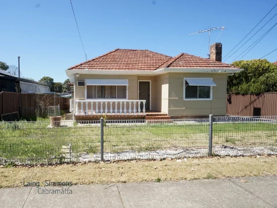 20 Huon Street, Cabramatta, NSW 2166