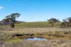 20 Iron Pot Creek Road, Avonside, NSW 2628-Image