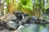 20 Jagera Close, Kamerunga, Qld 4870-Image