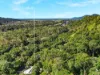 20 Jagera Close, Kamerunga, Qld 4870-Image