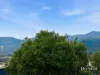 20 Jamieson Street, New Norfolk, Tas 7140-Image