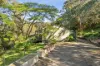 20 Jubilee Street, Maclean, NSW 2463-Image