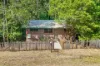 20 Kentish Road, Kiels Mountain, Qld 4559-Image
