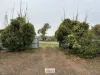 20 King Street, Werrimull, Vic 3496-Image