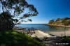 20    Kobada Avenue, Lilli Pilli, NSW 2536-Image