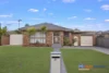 20 Lillas Place, Minto, NSW 2566