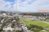 20 Lilyfield Road, Rozelle, NSW 2039-Image