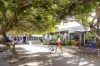20 Lorien Avenue, Coolum Beach, Qld 4573-Image