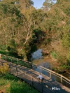 20 Lower Heidelberg Road, Ivanhoe, Vic 3079-Image