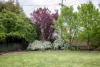 20 MacDonnell Street, Naracoorte, SA 5271-Image