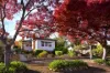 20 MacLise Street, Castlemaine, Vic 3450