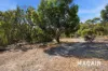 20 Mann Street, Seacliff Park, SA 5049-Image