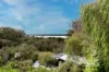 20 Manning Street, Myalup, WA 6220-Image
