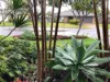 20 Maree Place, Redland Bay, Qld 4165-Image