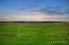 20 Maskell Street, Farley, NSW 2320