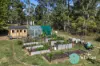 20 Maxwell Place, Curra, Qld 4570-Image