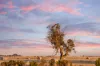 20 McLeod Crescent, Lucas, Vic 3350-Image