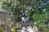 20 Michelle Drive, Point Vernon, Qld 4655-Image
