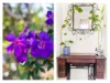 20 Mill Street, Landsborough, Qld 4550-Image
