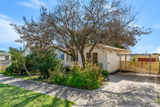 20 Morison Crescent, Seymour, Vic 3660