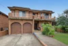 20 Myall Street, Punchbowl, NSW 2196