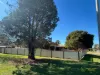 20 Nangunia Street, Berrigan, NSW 2712-Image