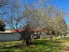 20 Nangunia Street, Berrigan, NSW 2712-Image