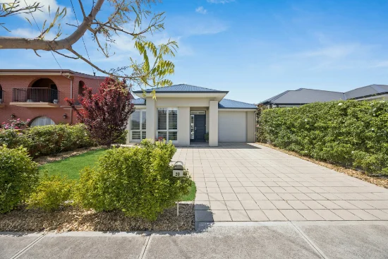 20 Neston Avenue, Plympton, SA 5038