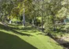 20 Noonara Drive, Wonglepong, Qld 4275-Image