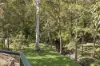 20 Noonara Drive, Wonglepong, Qld 4275-Image