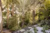 20 Northam Avenue, Bardon, Qld 4065-Image