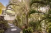 20 Northam Avenue, Bardon, Qld 4065-Image