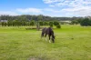 20 Old Cartons Lane, Gordon, Vic 3345-Image