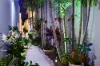 20 Onshore Place, Helensvale, Qld 4212-Image