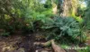 20 Orana Place, Taroona, Tas 7053-Image