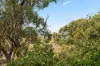 20 Oratava Avenue, Bridgewater, SA 5155-Image