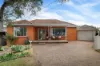 20 Page Street, Canterbury NSW 2193-Image