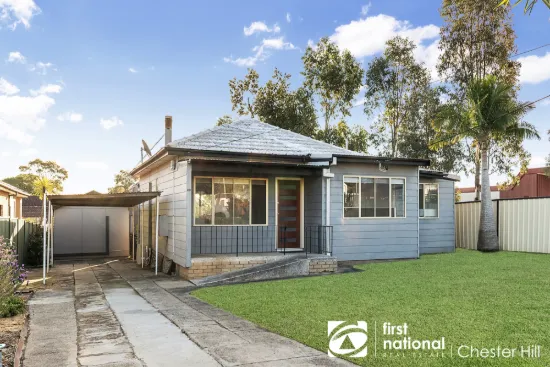 20 Parkham Street, Chester Hill, NSW 2162