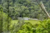 20 Patonga Drive, Patonga, NSW 2256-Image