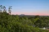 20 Penhallurick Street, Campbells Creek, Vic 3451-Image