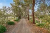 20 Pepe Lane, Lockwood South, Vic 3551-Image