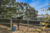 20 Pepe Lane, Lockwood South, Vic 3551-Image