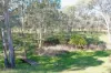 20 Petticoat Lane, Young, NSW 2594-Image