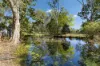 20 Philip Street, Howard, Qld 4659-Image