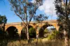 20 Pippin Court, Harcourt, Vic 3453-Image