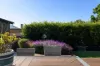 20 Porter Avenue, Marrickville, NSW 2204-Image