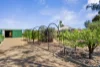 20 Railway Place, Numurkah, Vic 3636-Image