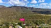 20 Rankine Drive, Tolga, Qld 4882-Image