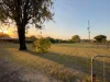 20 Reinbotts Road, Lowood, Qld 4311-Image