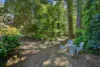 20 Ridge Road, Kallista, Vic 3791-Image